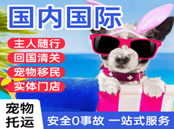 湛江机场快运国际宠物托运 【国